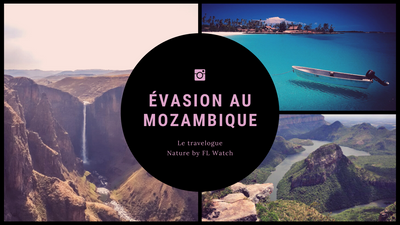 Escape a Mozambique